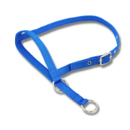 CATTLE HALTER BULL - BLUE