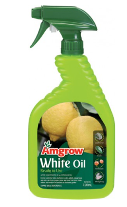 AMGROW WHITE OIL RTU 750ML