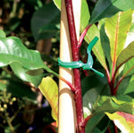 TWIST TIES CUT 200MM PK200 GRN