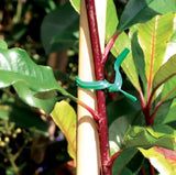 TWIST TIES CUT 200MM PK200 GRN