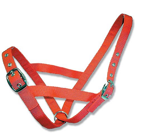 CATTLE HALTER WEBBING CALF