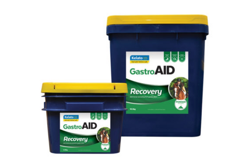 GASTRO AID RECOVERY